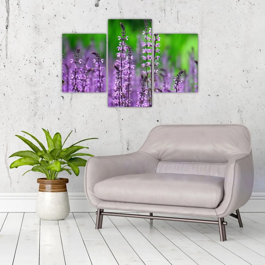 Obraz fialových lúčnych kvetov (90x60 cm)