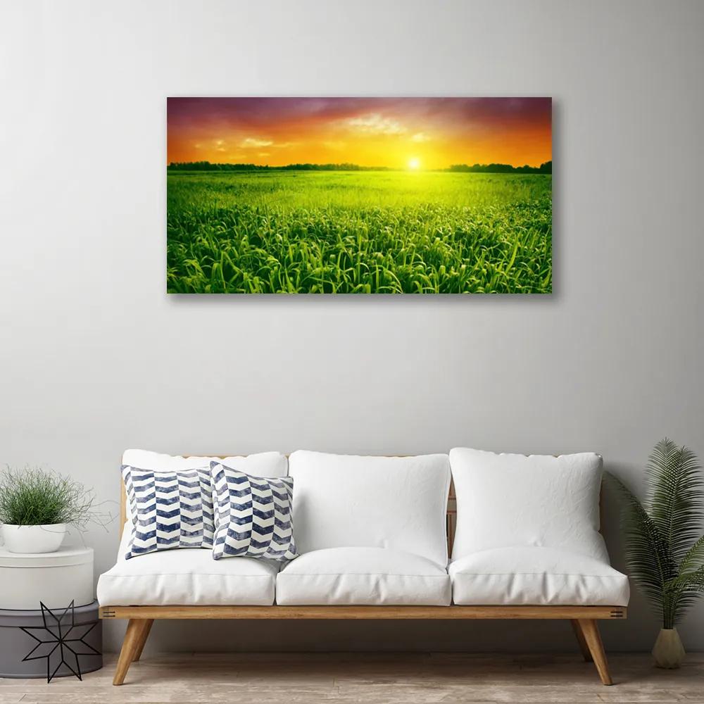 Obraz na plátne Obilie pole východ slnka 140x70 cm