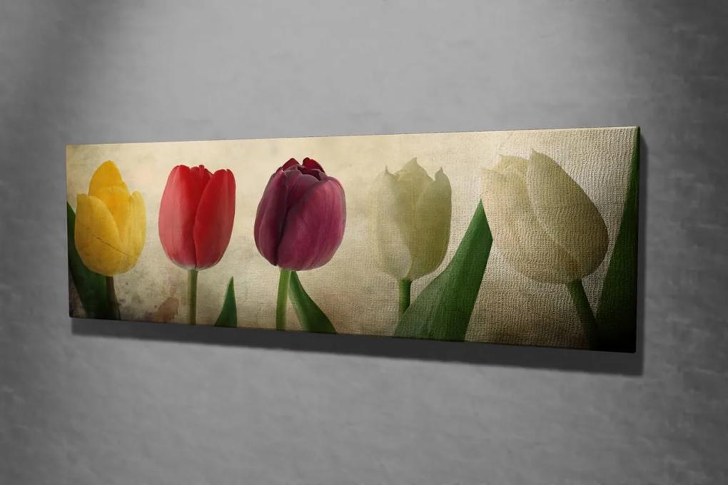 Obraz Tulipány 80x30 cm