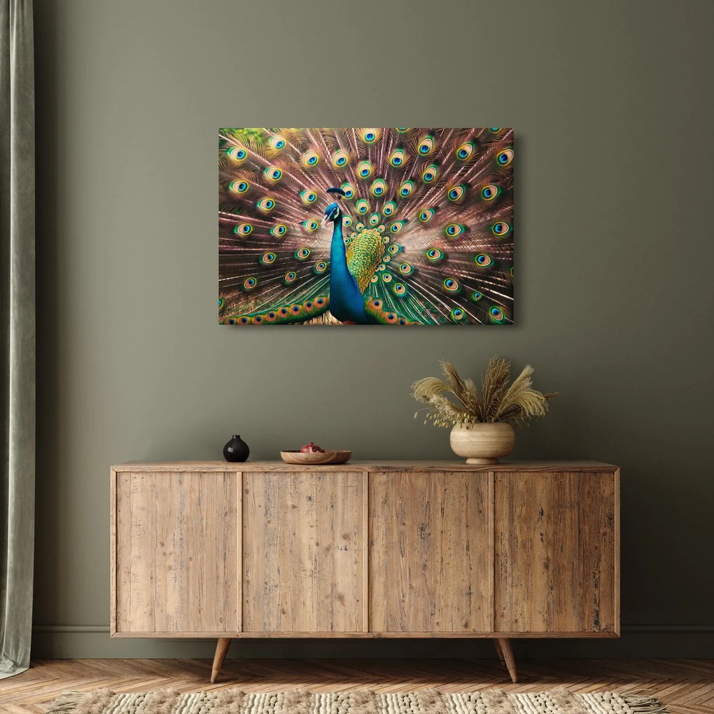 Obraz - Páv (90x60 cm)