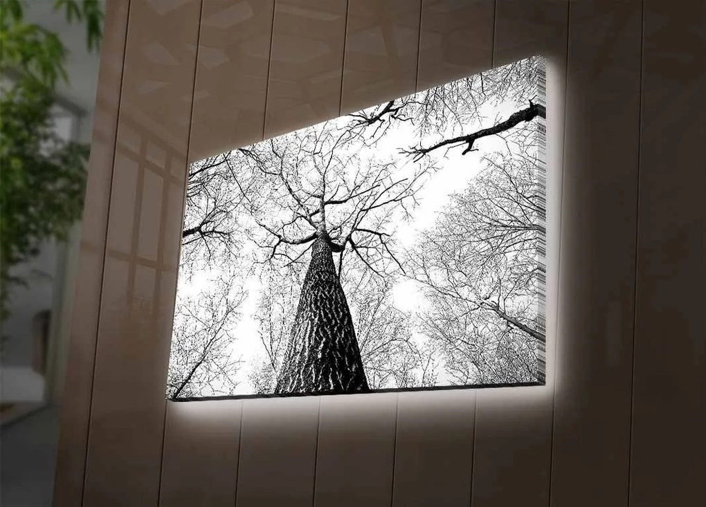 Maľba s LED osvetlením TREE ROOT 68 45 x 70 cm