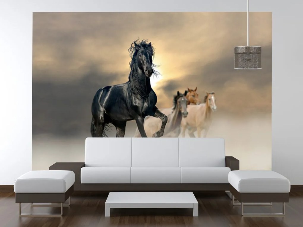 Gario Fototapeta Nádherný čierny kôň Materiál: Samolepiaca, Rozmery: 200 x 135 cm