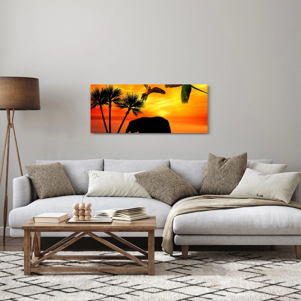 Obraz - papagáje a slony (120x50 cm)