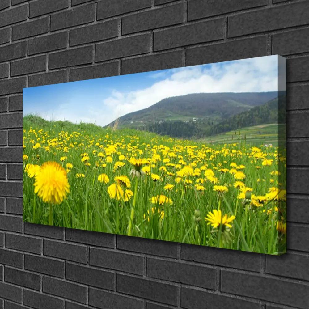 Obraz na plátne Púpava príroda 140x70 cm
