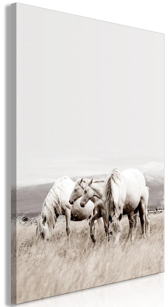 Artgeist Obraz - White Horses (1 Part) Vertical Veľkosť: 20x30, Verzia: Na talianskom plátne