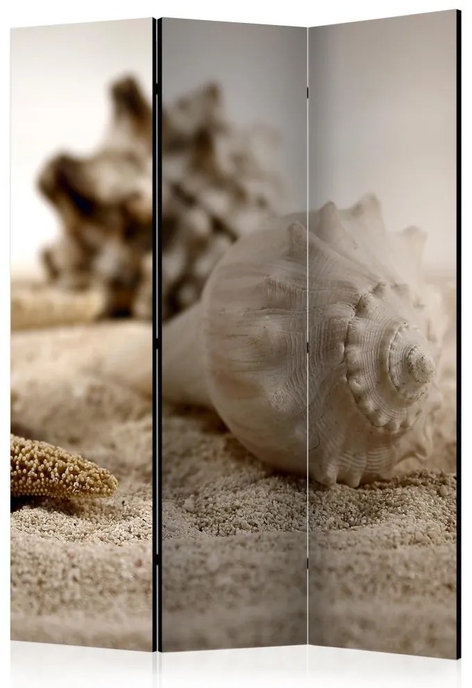 Artgeist Paraván - Beach and shell [Room Dividers]