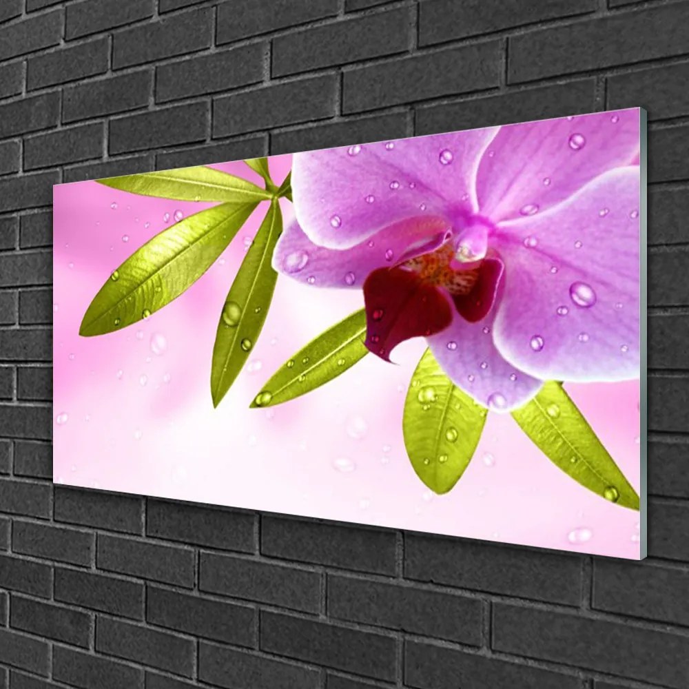 Obraz na skle Kvet listy rastlina 125x50 cm