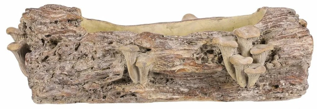 Betonový obal - truhlík, drevo s hubami, 41 x 19 x13 cm, hnedá