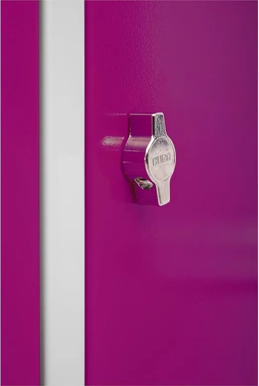 Kovová šatníková skriňa Trestles SS2M 1800x600x500 mm, 2 oddiely, fialové dvere Podnož: bez podnože, Zámok: otočný