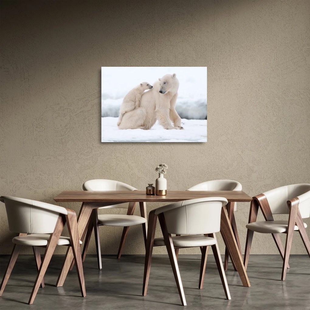 Sklenený obraz - Ľadové medvede (70x50 cm)