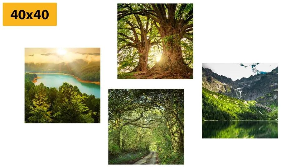 Set obrazov rozprávková príroda