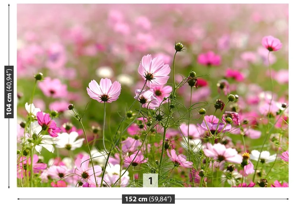 Fototapeta Vliesová Vesmír kvety 104x70 cm