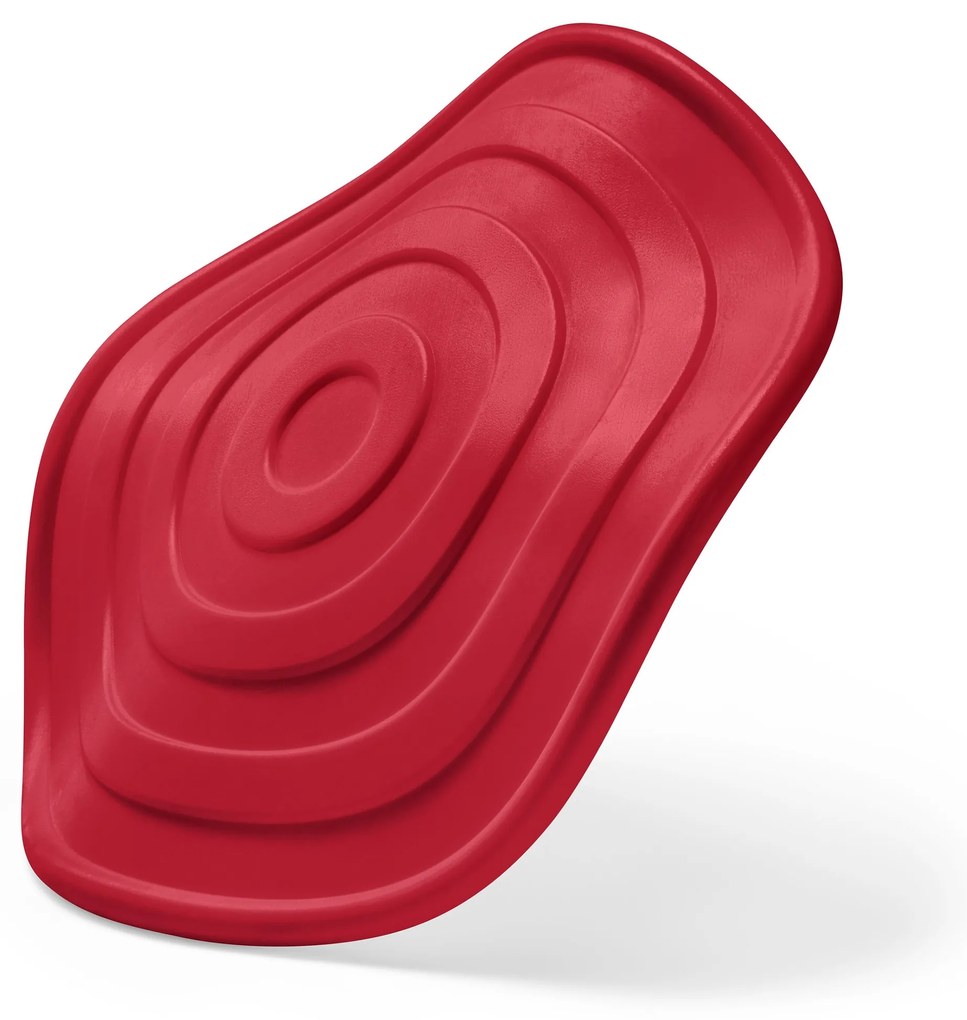 Lietajúci disk pre psy