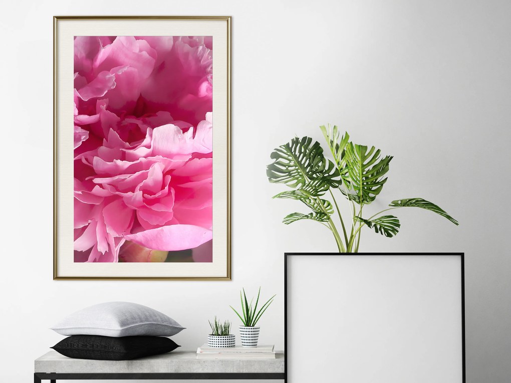 Artgeist Plagát - Beautiful Peonies [Poster] Veľkosť: 20x30, Verzia: Čierny rám