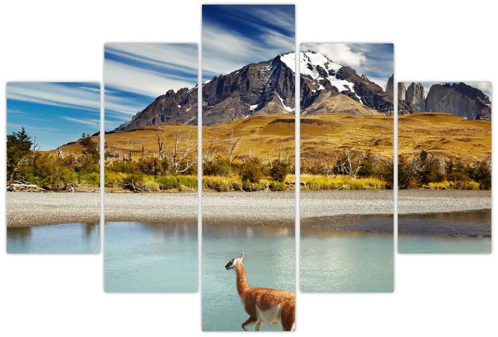Obraz - Národný park Torres del Paine (150x105 cm)