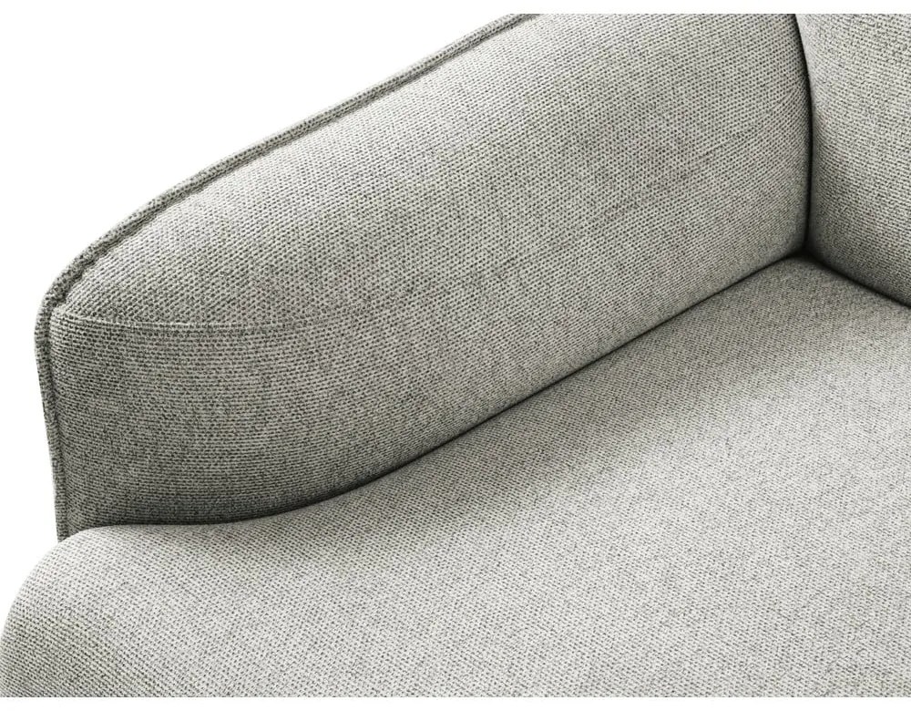 Svetlosivé kreslo Windsor &amp; Co Sofas Neso