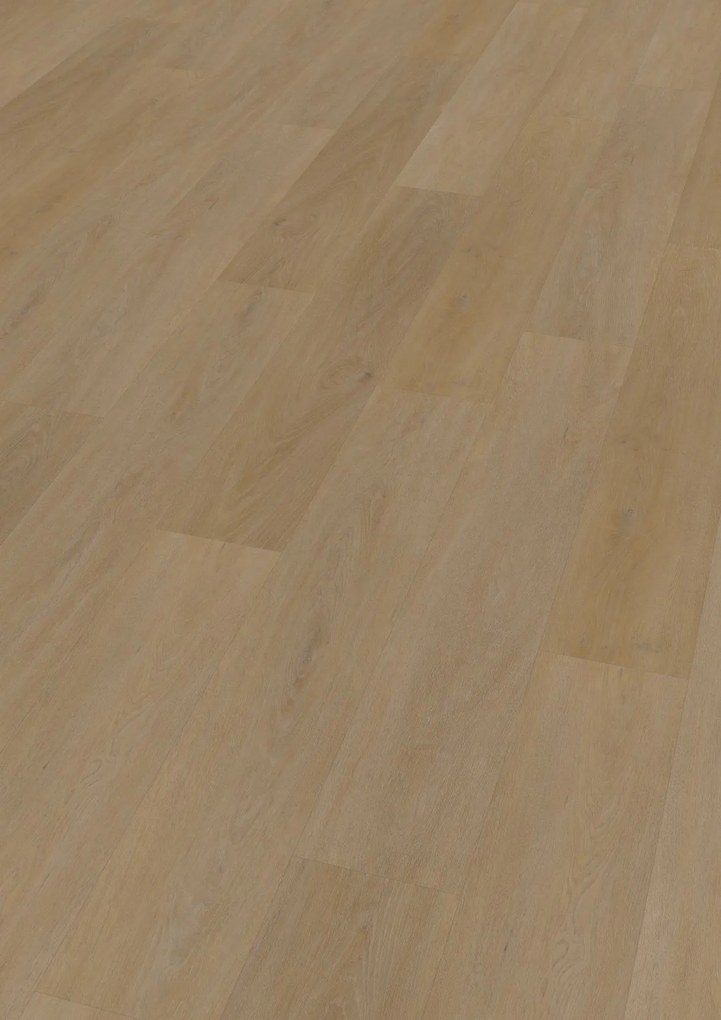 Oneflor, Vinylová podlaha lepená ECO 55 064 English Oak Honey, 1219,2 x 184,1 mm