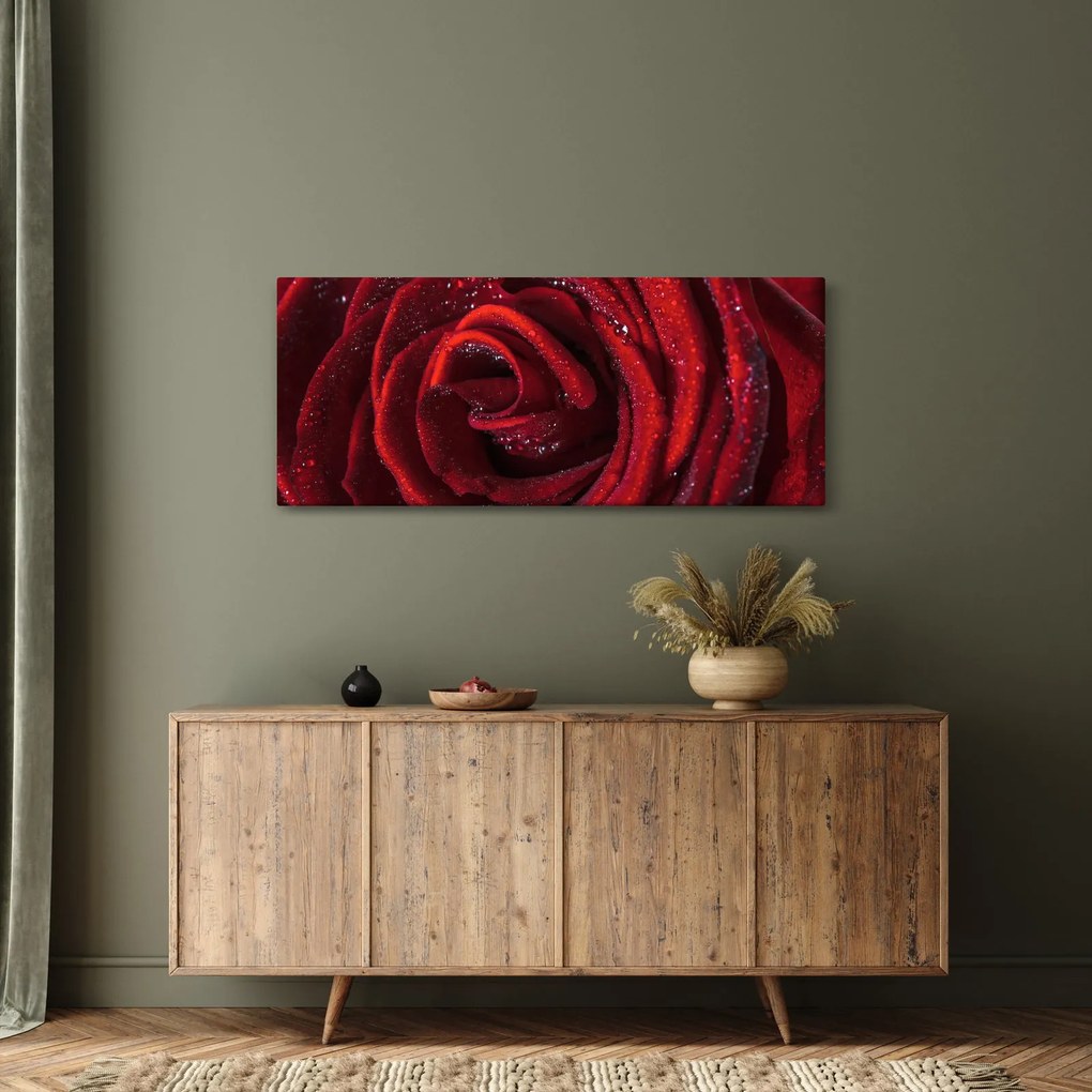 Obraz - Červená ruža s kvapkami rosy (120x50 cm)