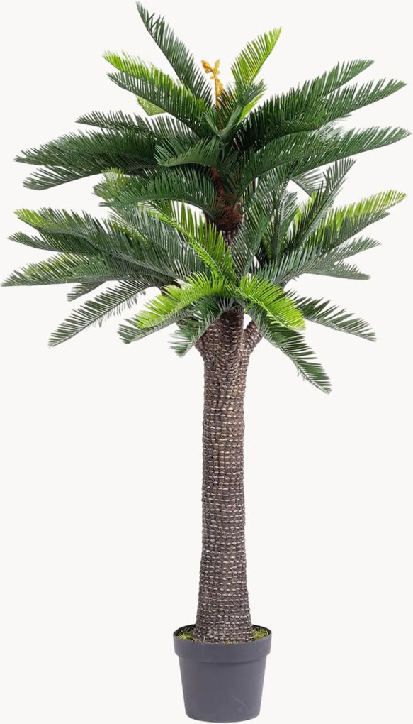 Exteriérová rastlinná dekorácia Cycas, V 190 cm