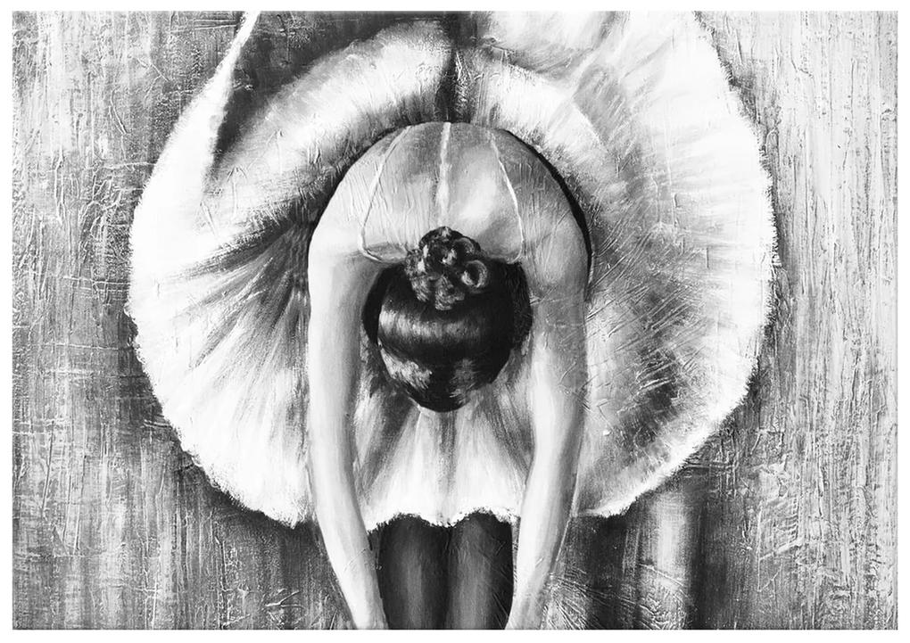 Gario Ručne maľovaný obraz Sivá rozcvička baletky Rozmery: 70 x 100 cm