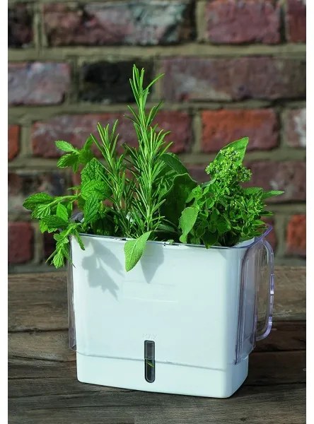 Cole&Mason - Nádoba na uchovanie rezaných byliniek