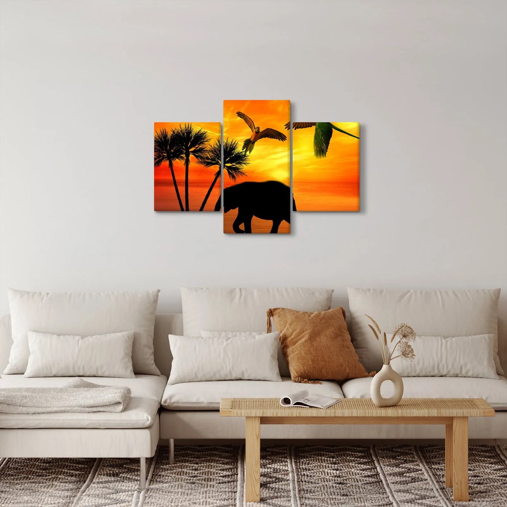 Obraz - papagáje a slony (90x60 cm)