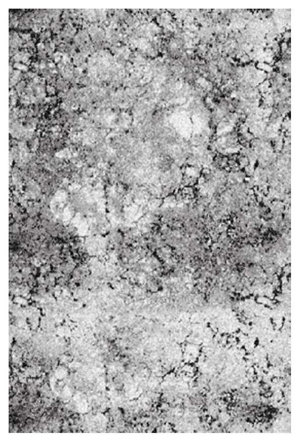 Behúň BCF Kronos 100 cm 7026 4 333