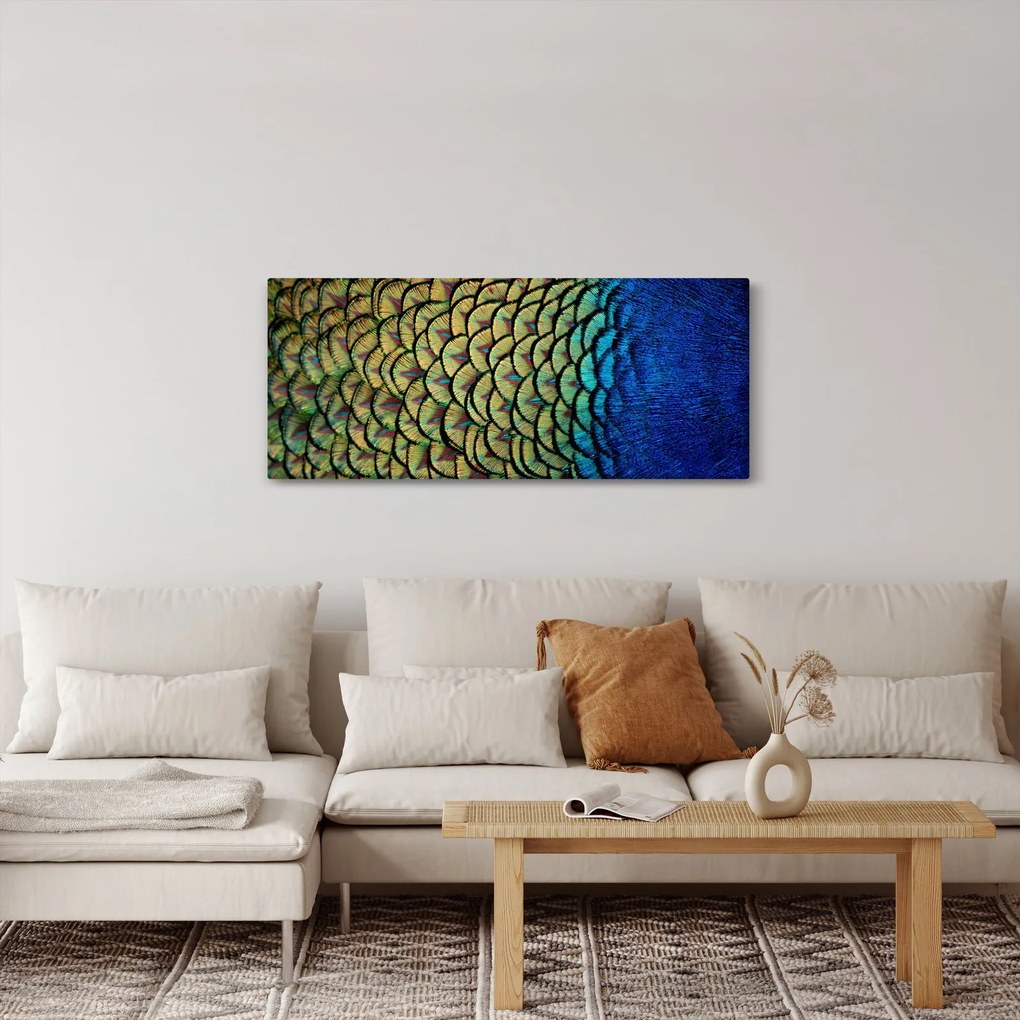 Obraz - Pávie perie (120x50 cm)