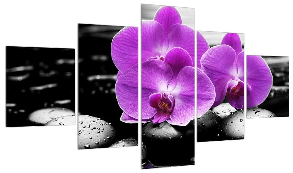Obraz kvetov orchidee (K011379K12570)