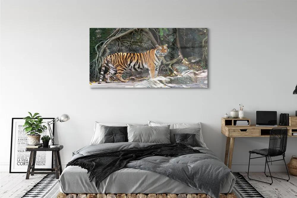 Obraz na akrylátovom skle Tiger džungle 140x70 cm