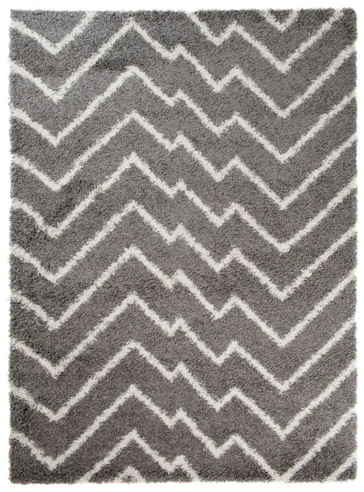 Kusový koberec Shaggy Haris šedý, Velikosti 160x220cm
