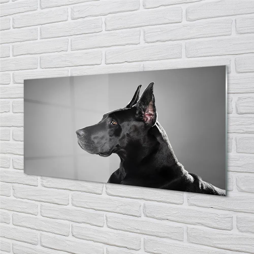 Obraz na akrylátovom skle Čierny pes 125x50 cm