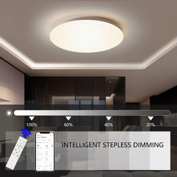 Brilagi - LED Stmievateľné stropné svietidlo SMART LED/24W/230V Wi-Fi Tuya + DO
