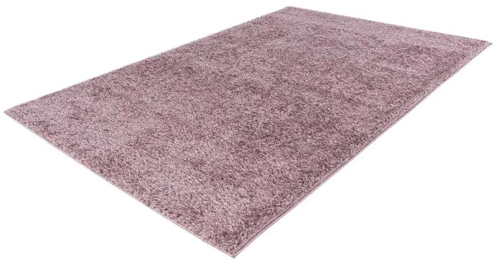 Obsession Kusový koberec My Emilia 250 Powder Purple Rozmer koberca: 200 x 290 cm