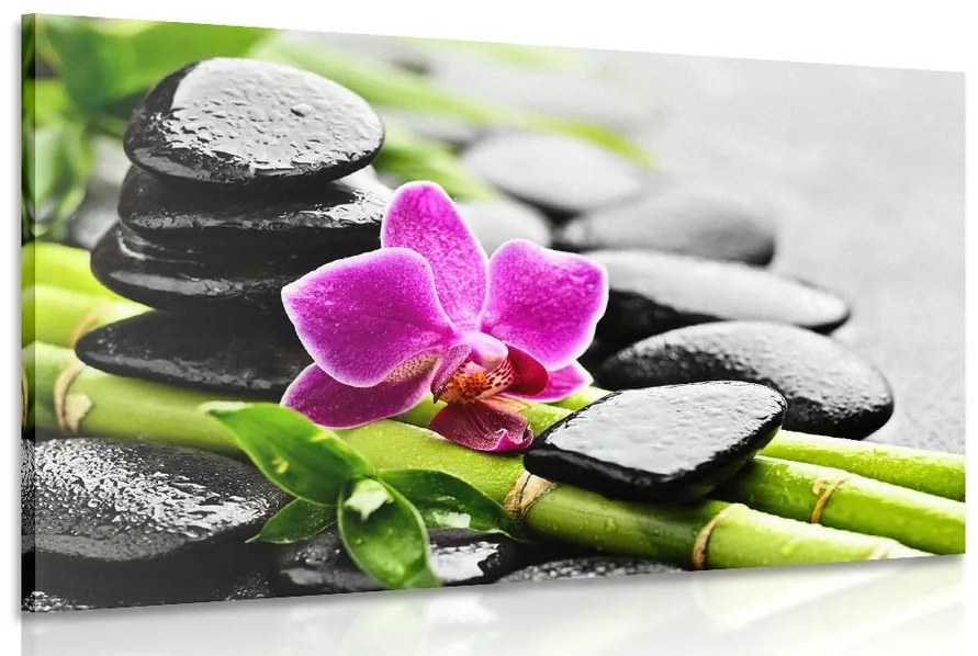Obraz Spa zátišie s fialovou orchideou