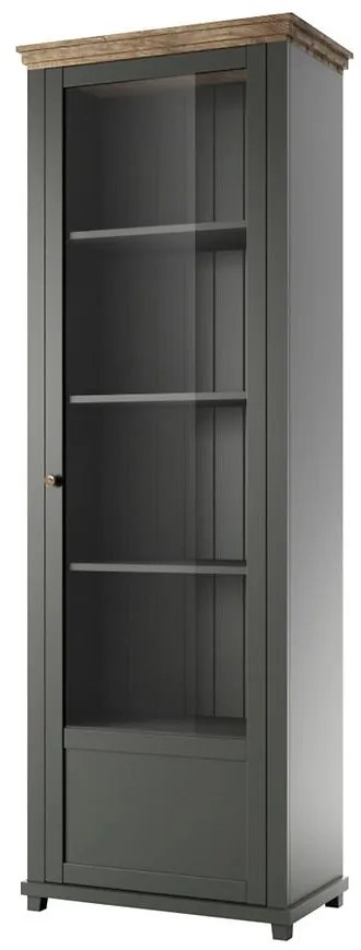 Vitrína 1D P Evora 06 Dub Lefkas/Zelená