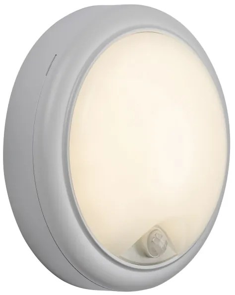 Rabalux 77029 - LED Vonkajšie nástenné svietidlo so senzorom LED/15W/230V IP54