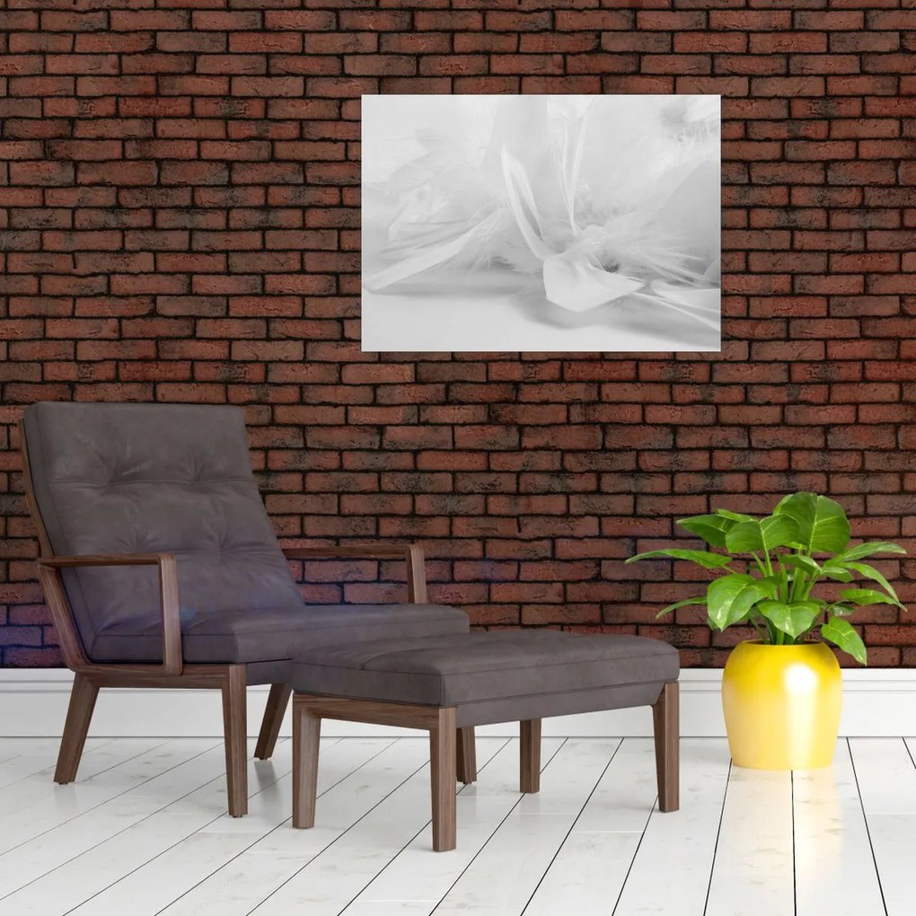 Obraz - Perie (70x50 cm)