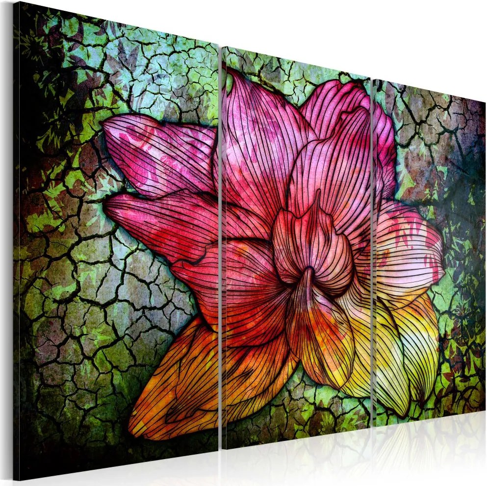 Obraz na plátne Bimago - Duhová květina 60x40 cm