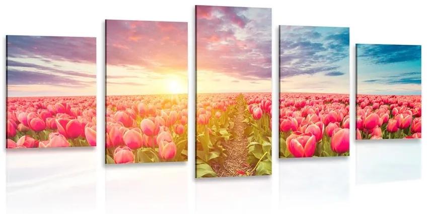 5-dielny obraz východ slnka nad lúkou s tulipánmi - 200x100