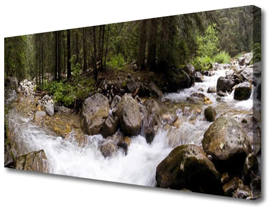 Obraz Canvas Les rieka vodopády 140x70cm