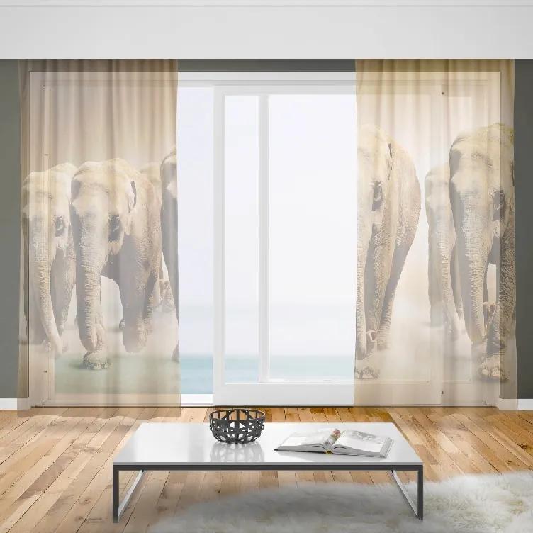 Záclony Stádo slonov (Rozměr záclony: 150x250)