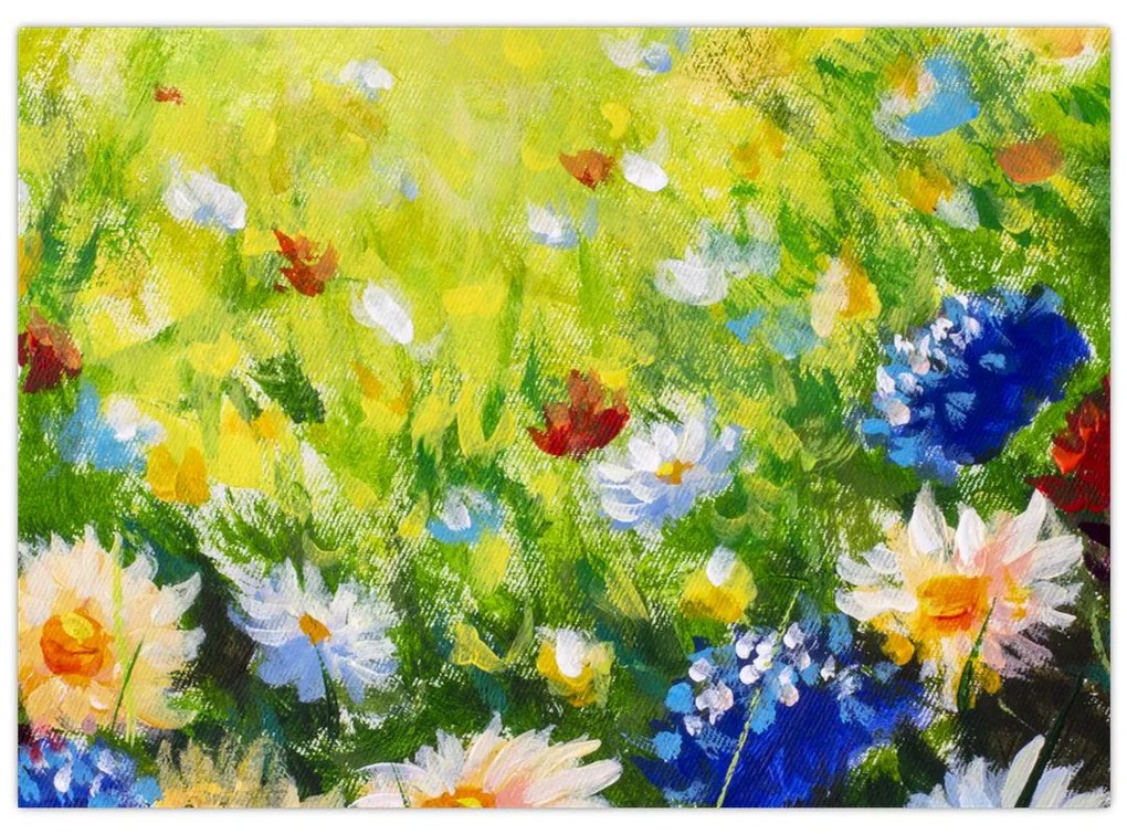 Obraz rozkvitnutej lúky, olejomaľba (70x50 cm)