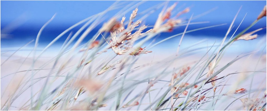 Obraz - Vánok (120x50 cm)