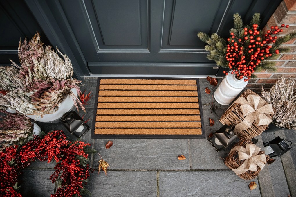 Rohožka Striped 105935 - na von aj na doma, 45x75, hnedá, chodba / predsieň, Hanse Home