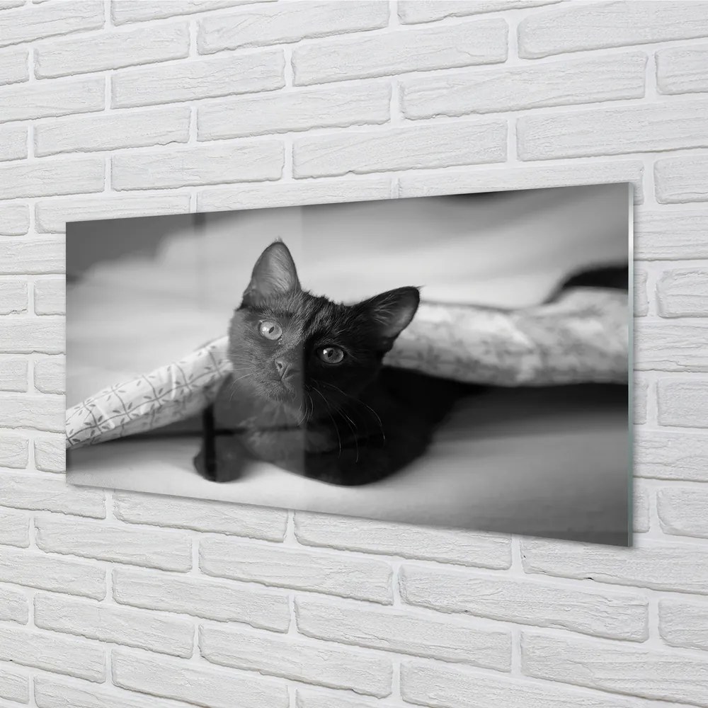 Obraz na akrylátovom skle Mačka pod prikrývkou 140x70 cm