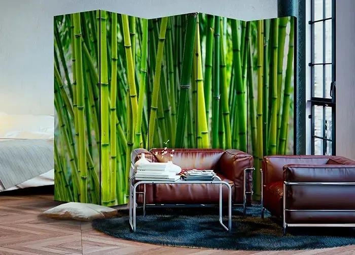 Paraván - Bamboo Forest II [Room Dividers] Veľkosť: 225x172, Verzia: Jednostranný