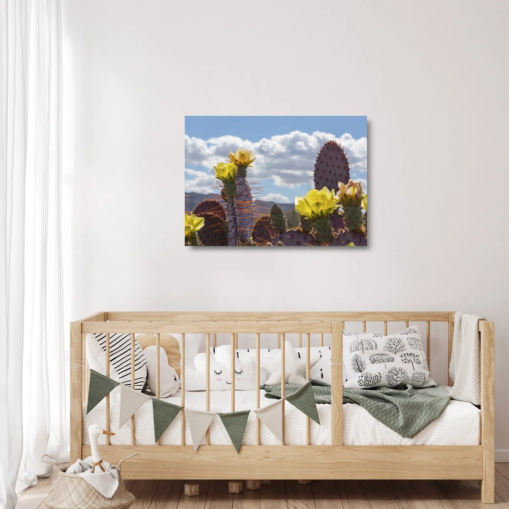 Sklenený obraz opuncie (70x50 cm)