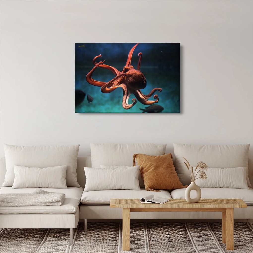 Obraz - Chobotnica (90x60 cm)