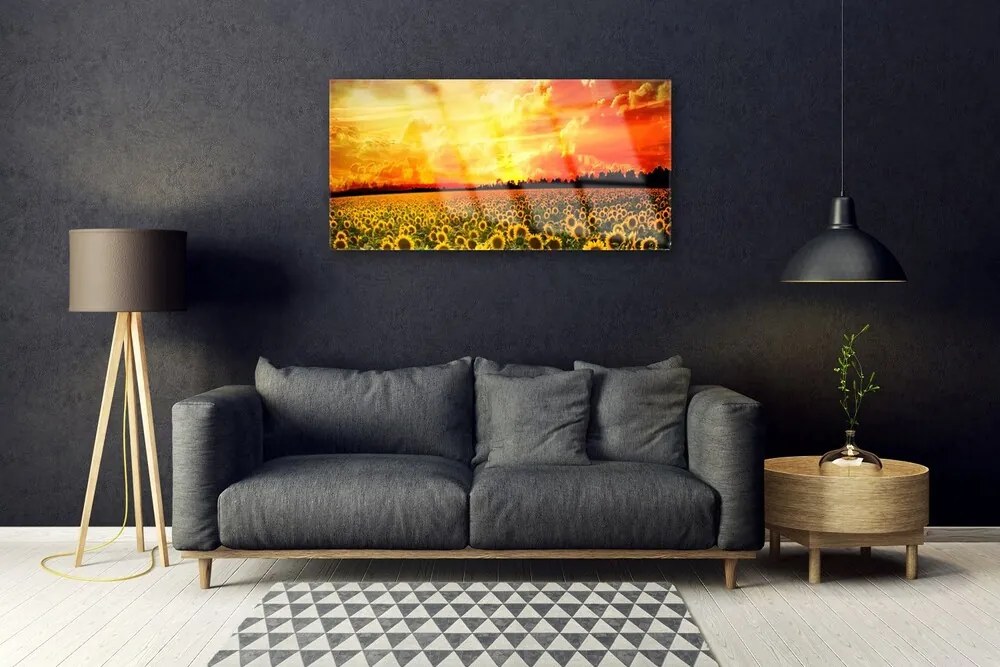 Skleneny obraz Lúka slnečnica kvety 120x60 cm